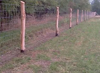 profi vadvédelmi kerítés építés